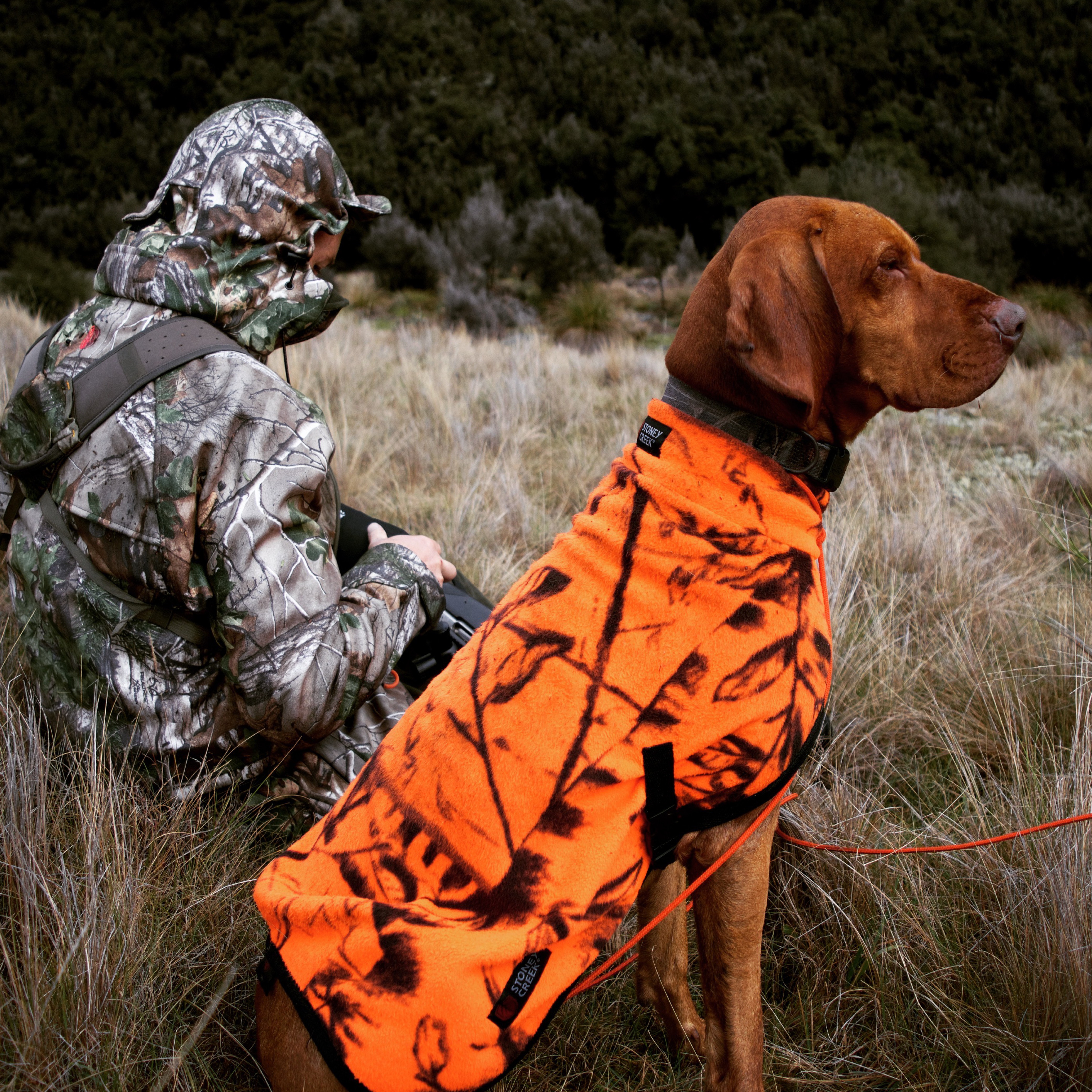 Stoney creek hot sale dog coat